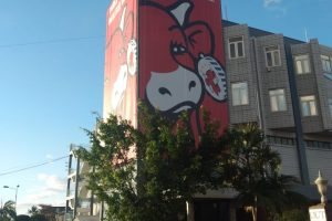 La Vache Qui rit Banner